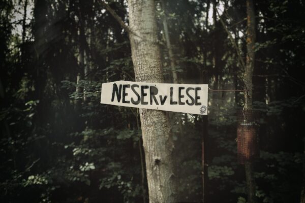 CornersOfRusthaven_1
